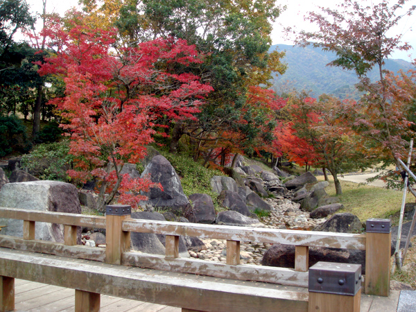 香川用水記念公園公式サイト 紅葉